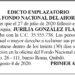 Edicto 1er. aviso Jurilia González Flaco