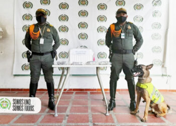 Perro de la policía detectó marihuana en bodega del aeropuerto de Quibdó