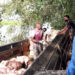 Entregados $ 506 millones en proyectos porcícolas en Chocó