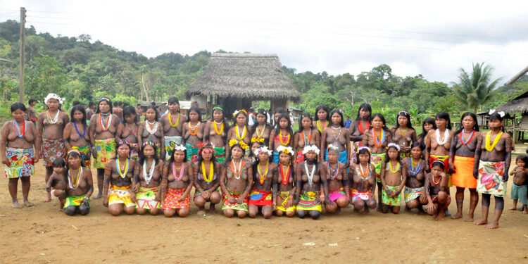 $ 485 millones para proyectos de pollos, cerdos y plátano a indígenas del río Purricha, Bajo Baudó.