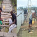 Reparan el puente sobre el río Valle, Bahía Solano
