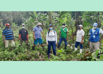Proyectos agrícola y porcícola en el Alto y Medio Baudó