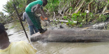 Invías inicia fase 2 de dragado de Boca Coquito sobre el río Atrato