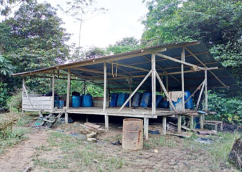 Ejército destruye tres laboratorios de coca en San José del Palmar