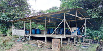 Ejército destruye tres laboratorios de coca en San José del Palmar