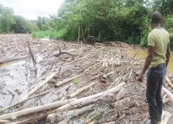 Proyecto de pagos por servicios ambientales en Jiguamiandó, Carmen de Darién