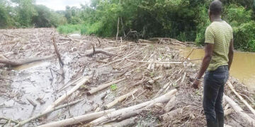 Proyecto de pagos por servicios ambientales en Jiguamiandó, Carmen de Darién