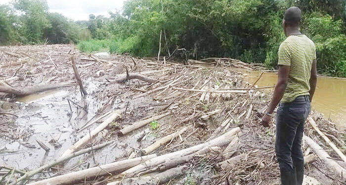 Proyecto de pagos por servicios ambientales en Jiguamiandó, Carmen de Darién