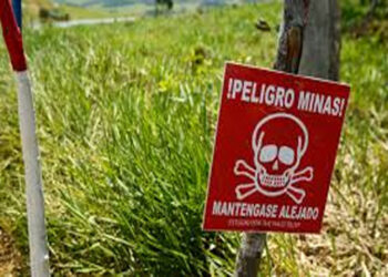 ONIC: ELN instaló minas antipersona cerca a una comunidad indígena en Bojayá