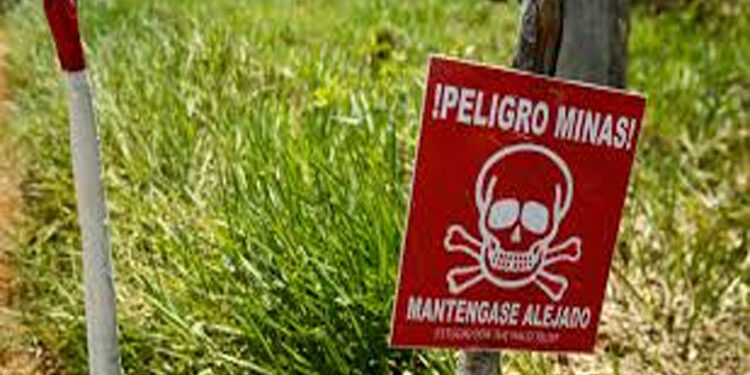 ONIC: ELN instaló minas antipersona cerca a una comunidad indígena en Bojayá