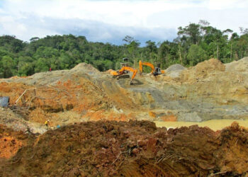 Parentesco y precariedad en la minería de oro en el Chocó