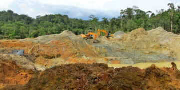 Parentesco y precariedad en la minería de oro en el Chocó