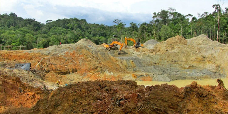 Parentesco y precariedad en la minería de oro en el Chocó