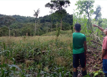 Avanzan proyectos productivos indígenas en Nuquí
