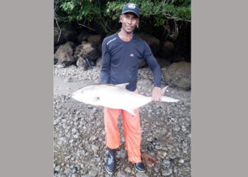Pescadores de Panguí, Nuquí,  piden apoyo para ganar concurso de MinCiencias