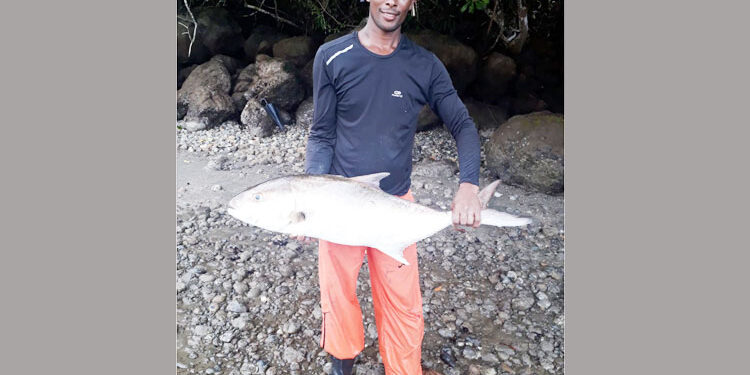 Pescadores de Panguí, Nuquí,  piden apoyo para ganar concurso de MinCiencias