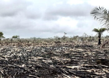 Investigan autores de incendios en Unguía