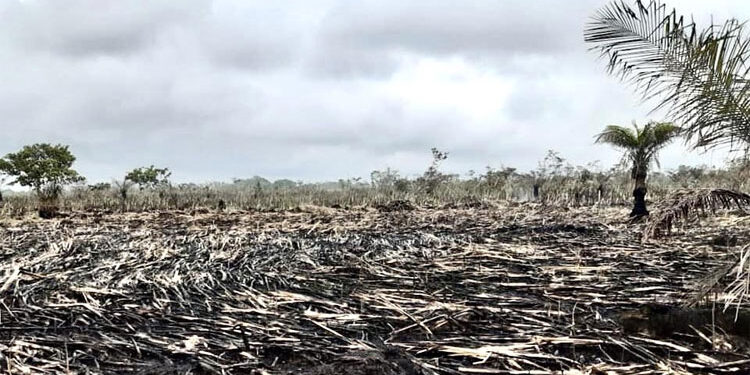 Investigan autores de incendios en Unguía