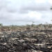 Investigan autores de incendios en Unguía