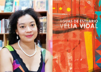 ‘Aguas de estuario’, Velia Vidal, Cartas