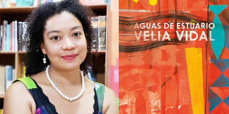 ‘Aguas de estuario’, Velia Vidal, Cartas