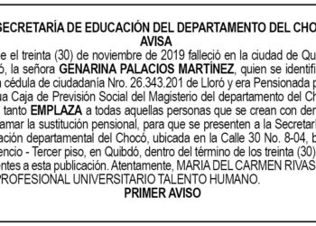 Edicto 1er. aviso Genarina Palacios Martínez