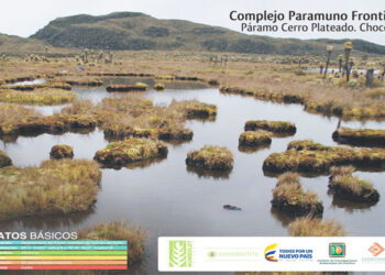 IIAP: Páramo Cerro Plateado