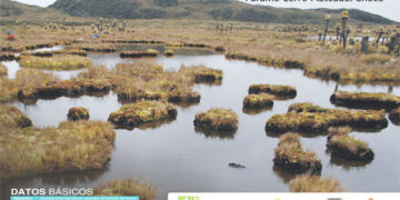 IIAP: Páramo Cerro Plateado