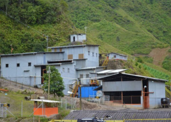 En contexto: “La culebra se mata por la cabeza”