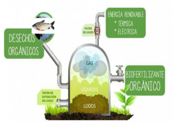 Proyecto de energía para Bojayá utilizando vísceras de pescado