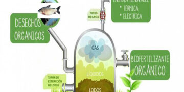 Proyecto de energía para Bojayá utilizando vísceras de pescado