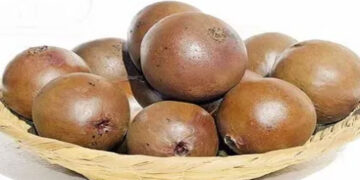 Otorgan patente a extracto de borojó con potencial para tratar cáncer
