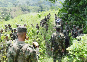 En el Chocó el Ejército ha erradicado 1.397 hectáreas de cultivos ilícitos en 2020