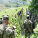 En el Chocó el Ejército ha erradicado 1.397 hectáreas de cultivos ilícitos en 2020