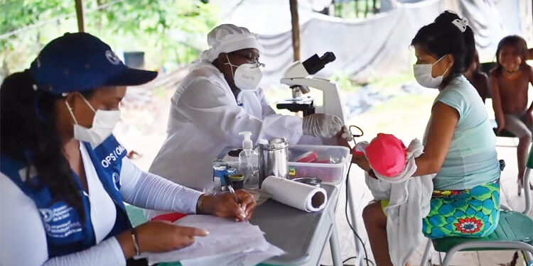 Premian a Quibdó por su trabajo contra el paludismo durante la pandemia por COVID-19