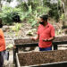 Siete nuevos viveros en Riosucio, Acandí, Carmen del Darién, Bojayá y Lloró