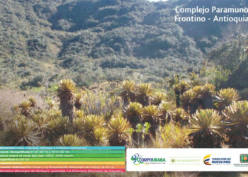 IIAP: Complejo Paramuno Frontino