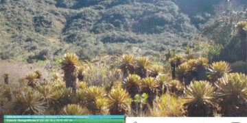IIAP: Complejo Paramuno Frontino