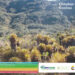 IIAP: Complejo Paramuno Frontino