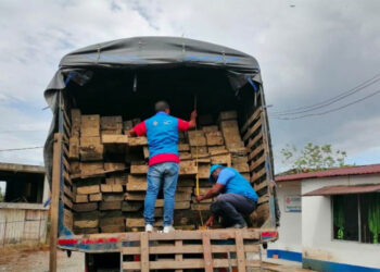 Codechocó permite movilizar madera de lunes a domingo, de 6 a.m. a 6 p.m.