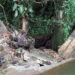 Inundaciones causaron graves daños en acueductos de siete municipios del Chocó