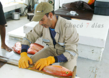 Evalúan recurso pesquero y de camarones en el Pacífico chocoano