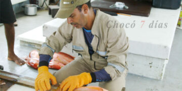 Evalúan recurso pesquero y de camarones en el Pacífico chocoano