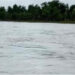 Rescatan cadáver de una mujer en el río Curbaradó