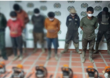 Seis detenidos en Tutunendo por cortar árboles sin permiso