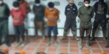 Seis detenidos en Tutunendo por cortar árboles sin permiso