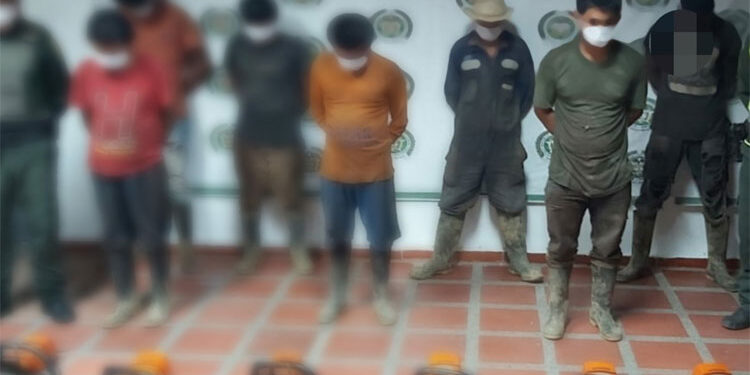 Seis detenidos en Tutunendo por cortar árboles sin permiso