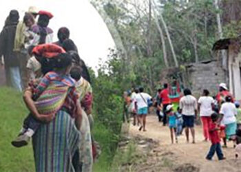 Así se legalizó el despojo de tierras en el Bajo Atrato por los hermanos Rendón Herrera