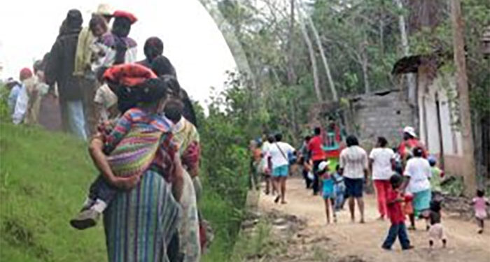 Así se legalizó el despojo de tierras en el Bajo Atrato por los hermanos Rendón Herrera