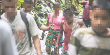 Amenazan a líderes indígenas por erradicar cultivos de coca